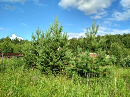 ������ ��������� ������� ���������� ������� ��������� ����� ����� ���������� ������ ����� ���� ��� (���� �2)