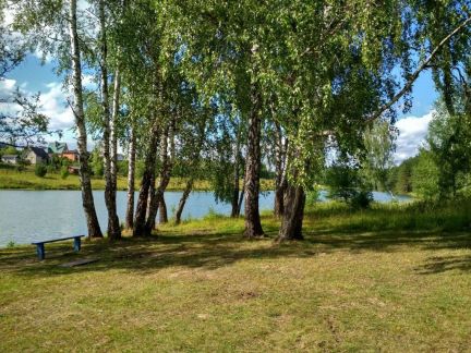 ������ ��������� ������� ���������� ������� ��������� ����� ����� ���������� ������ ����� ���� ��� (���� �8)