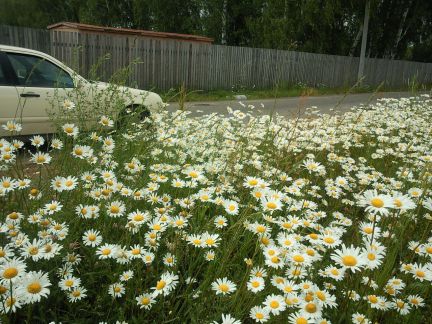 ������ ��������� ������� ���������� ������� ��������� ����� ����� ���������� ������ ����� ���� ��� (���� �11)