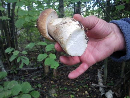 ������ ��������� ������� ���������� ������� ��������� ����� ����� ���������� ������ ����� ���� ��� (���� �12)