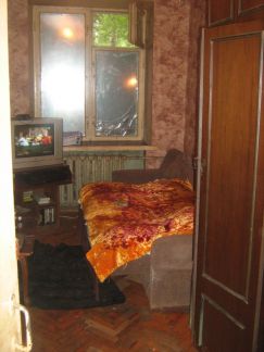     ( 11)