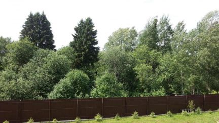 ������ ��� �.������������ (���� �4)