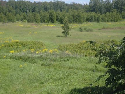 ������ ��������� ������� �� 48 �� �� ���� ��������� ��������� ����� (���� �6)