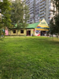      ( 3)