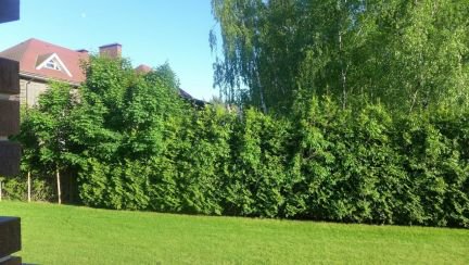 ������ ��� 25 ����� ������ ����������� �-� ������� -��������� ����� 19 �� �.�op�� (���� �7)