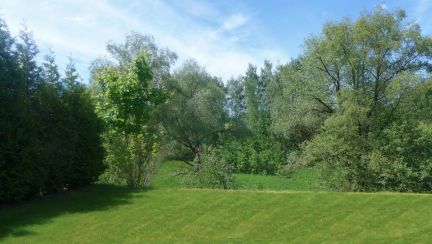 ������ ��� 25 ����� ������ ����������� �-� ������� -��������� ����� 19 �� �.�op�� (���� �10)