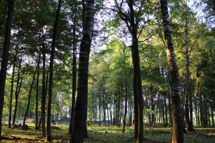 ������ ��� �� 50 �� �� ���� �. ��������� (���� �9)