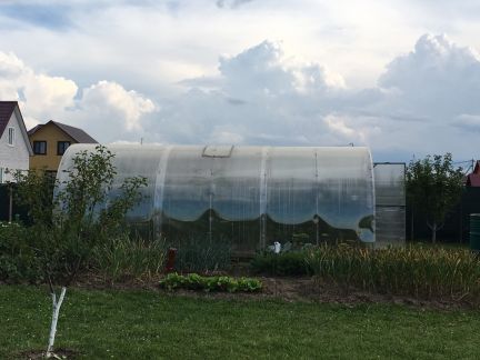 ������ ��������� ������� ����������� ����� 84 �� �� ���� ������ (���� �19)