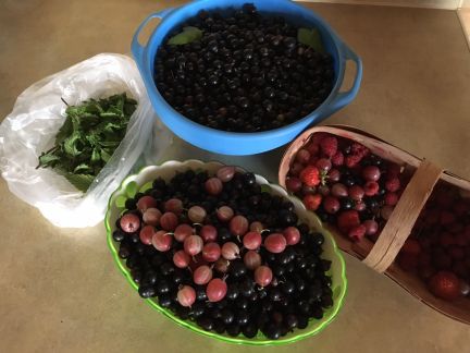 ������ ��������� ������� ����������� ����� 84 �� �� ���� ������ (���� �20)