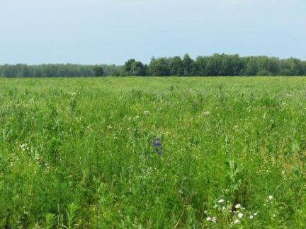 ������ ��������� ������� � �� �������� �� 60 �� �� ���� (���� �3)