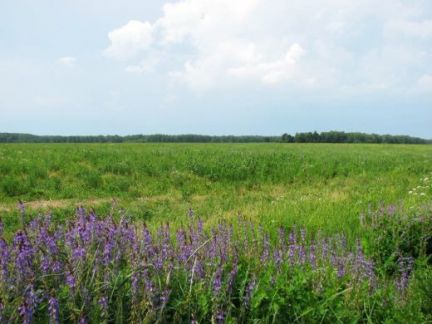 ������ ��������� ������� � �� �������� �� 60 �� �� ���� (���� �2)