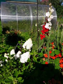 ������ ��������� ������� � ��� �������� �� 50 �� �� ���� (���� �13)