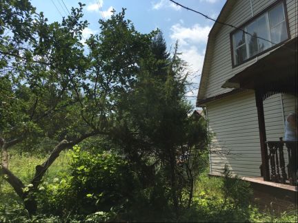 ������ ��������� ������� ��� �������� ��������������� ����� (���� �2)