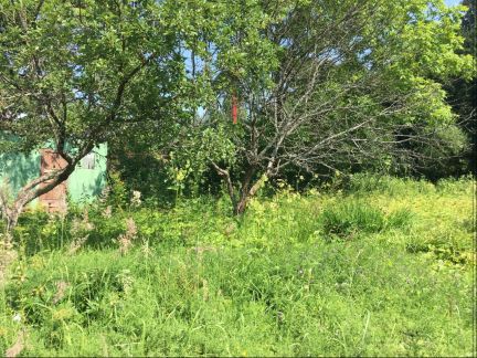 ������ ��������� ������� ��� �������� ��������������� ����� (���� �7)