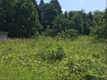 ������ ��������� ������� ��� �������� ��������������� ����� (���� �8)