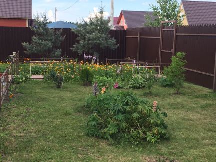 ������ ��������� ������� ����������� ����� 84 �� �� ���� ������ (���� �6)