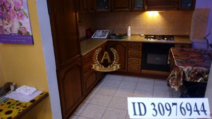 ����� ��� 40 ����� ��������� ����� (���� �16)