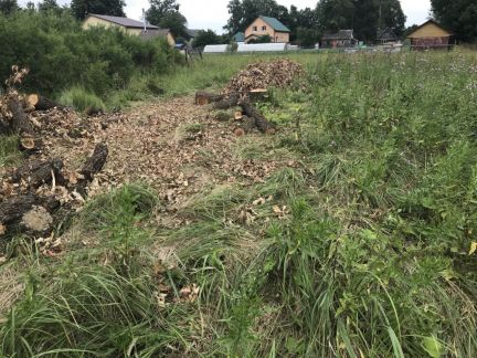 ������ ��������� ������� �� 80 �� �� ���� ���� (���� �4)