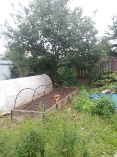 ������ ��� ��� �������� (���� �3)