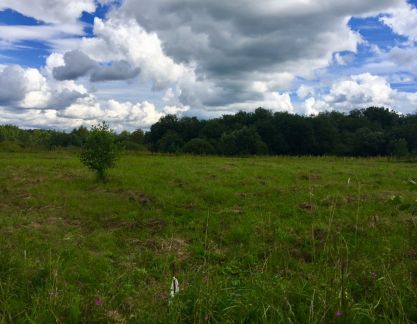 ������ ��������� ������� � ����������� ������� �������� (���� �4)