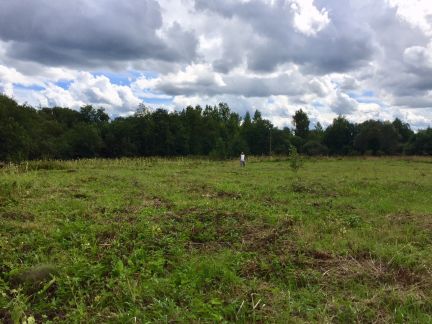 ������ ��������� ������� � ����������� ������� �������� (���� �5)