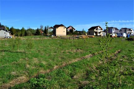 ������ ��������� ������� 6 ����� ��� (���� �6)