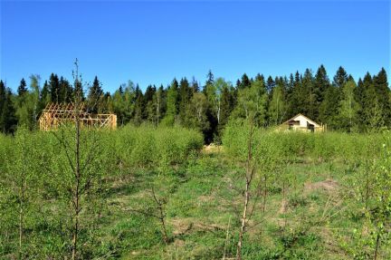 ������ ��������� ������� 6 ����� ��� (���� �8)