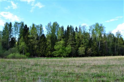 ������ ��������� ������� 6 ����� ��� (���� �9)