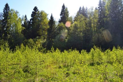 ������ ��������� ������� 6 ����� ��� (���� �11)