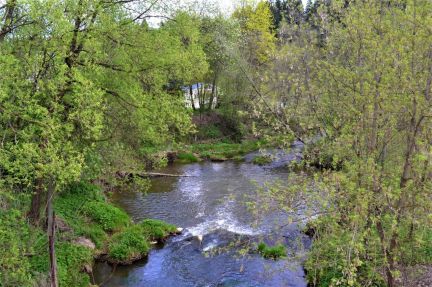 ������ ��������� ������� 6 ����� ��� (���� �12)