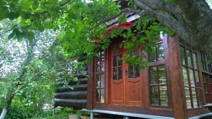 ������ ��������� ������� ��������� ����� ���������� ���������� ������� ������� ������������ ����� (���� �5)