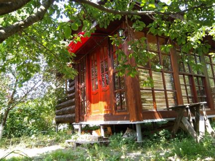 ������ ��������� ������� ��������� ����� ���������� ���������� ������� ������� ������������ ����� (���� �12)