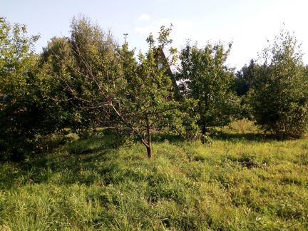 ������ ��������� ������� ��� ��� (���� �2)