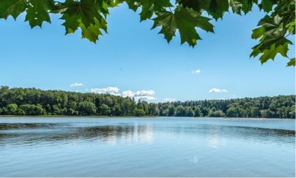 ������ ��������� ������� �� 45 �� �� ���� ��������� ����� �. ��������� ���������� ������������� (���� �5)