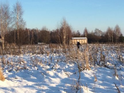 ������ ��������� ������� � ��� �������� ����-��������� ����� (���� �5)