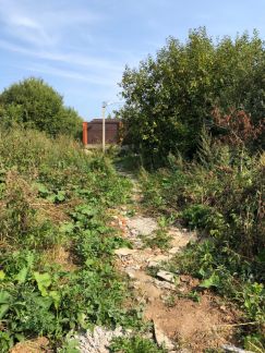 ����� ���� ���������� ������� (���� �5)