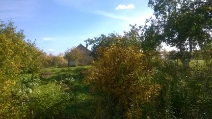 ������ ��� ���� ����������� ��������������� ����� (���� �11)