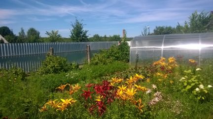 ������ ��� ���� ����������� ��������������� ����� (���� �3)