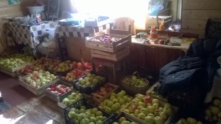 ������ ��� ���� ����������� ��������������� ����� (���� �10)