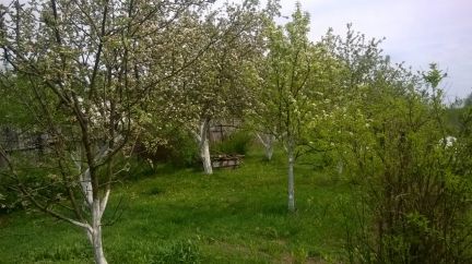 ������ ��� ���� ����������� ��������������� ����� (���� �13)