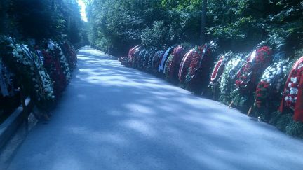 ������ ��������� ������� ������������� ����������� �������� (���� �5)