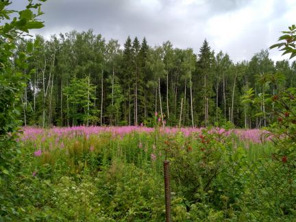 ��� ���������� ������ ���� (���� �5)