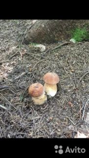 ������ ��������� ������� 3 ����� ����� ��������������� �������� ��������� �. ������� (���� �17)