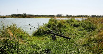 ������ ��������� ������� � 55 �� �� ���� (���� �2)