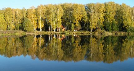 ������ ��������� ������� � 55 �� �� ���� (���� �3)