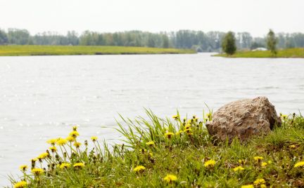 ������ ��������� ������� � 55 �� �� ���� (���� �8)