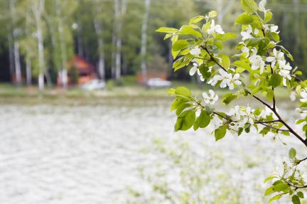 ������ ��������� ������� � 55 �� �� ���� (���� �6)