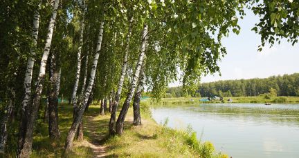 ������ ��������� ������� � 55 �� �� ���� (���� �15)