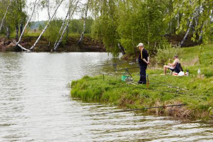 ������ ��������� ������� � 55 �� �� ���� (���� �5)