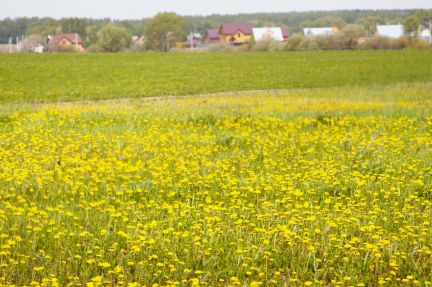 ������ ��������� ������� � 55 �� �� ���� (���� �11)